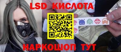 спайс Берёзовский