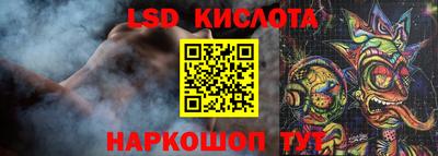 спайс Берёзовский