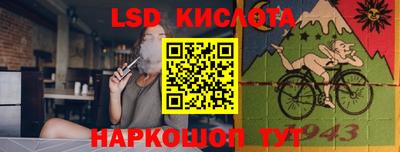 спайс Берёзовский