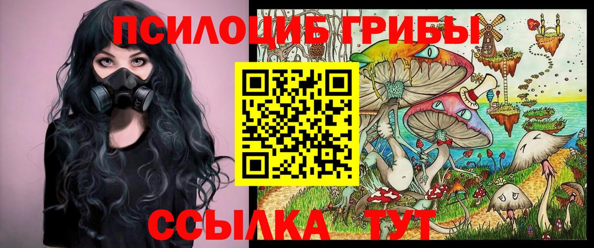 Псилоцибиновые грибы GOLDEN TEACHER Выборг